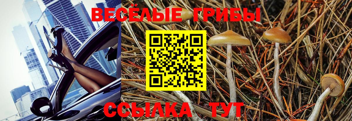 Псилоцибиновые грибы Psilocybe  Вход с VPN  Галлюциногенные грибы MAGIC MUSHROOMS  где можно купить   Архангельск 