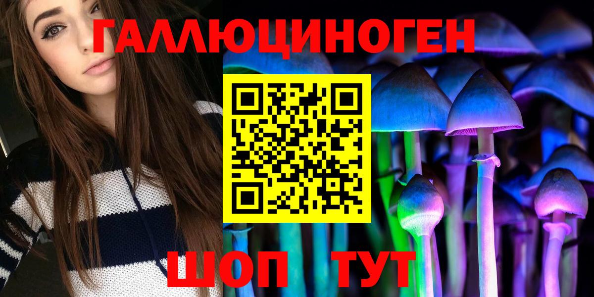 Псилоцибиновые грибы Psilocybe Архангельск